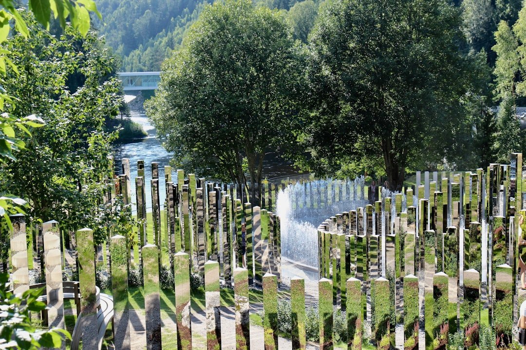 Digital Memorials: A Comforting Space for Grief & Remembrance