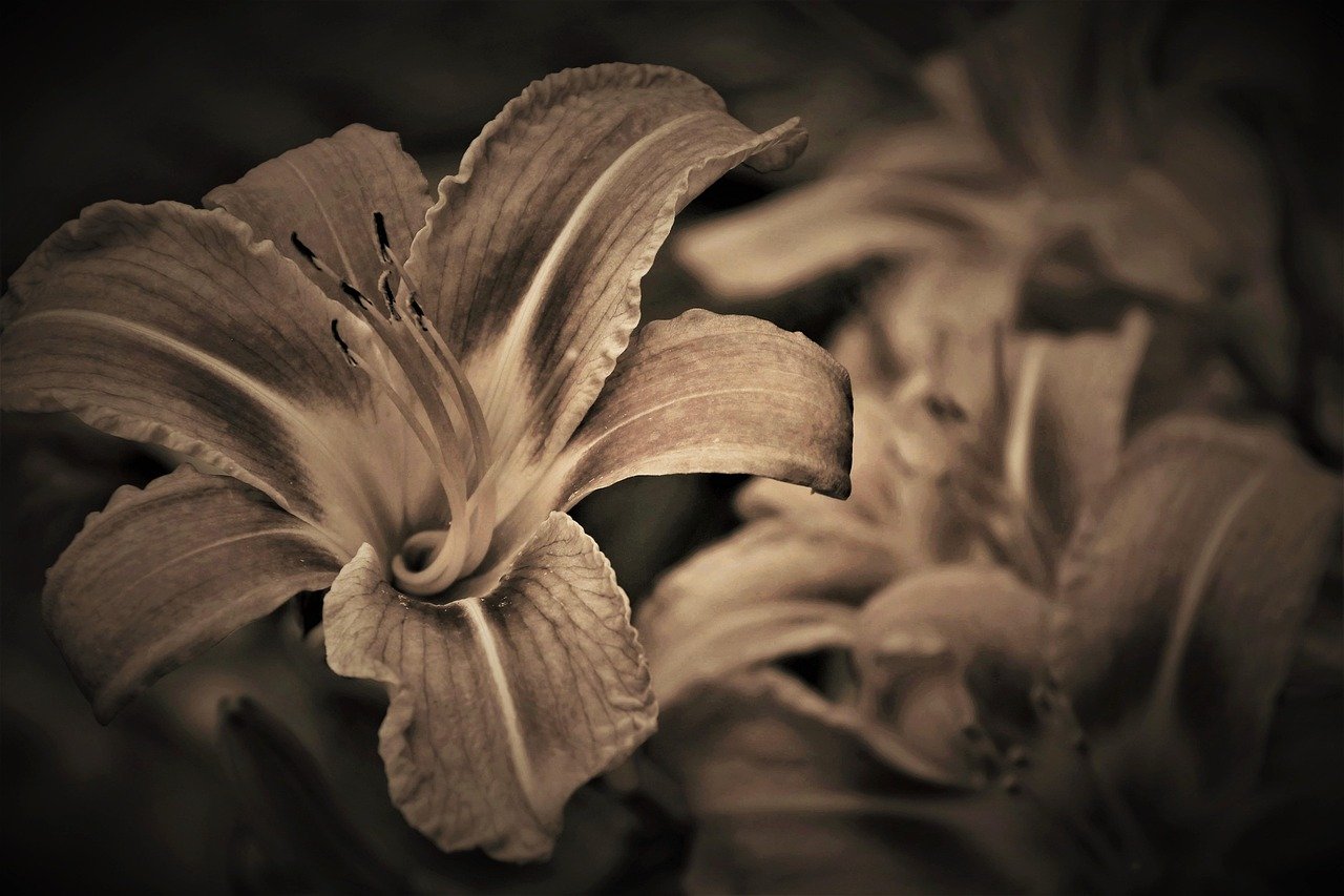 Goodbye Forever: How to Find Peace in Final Words