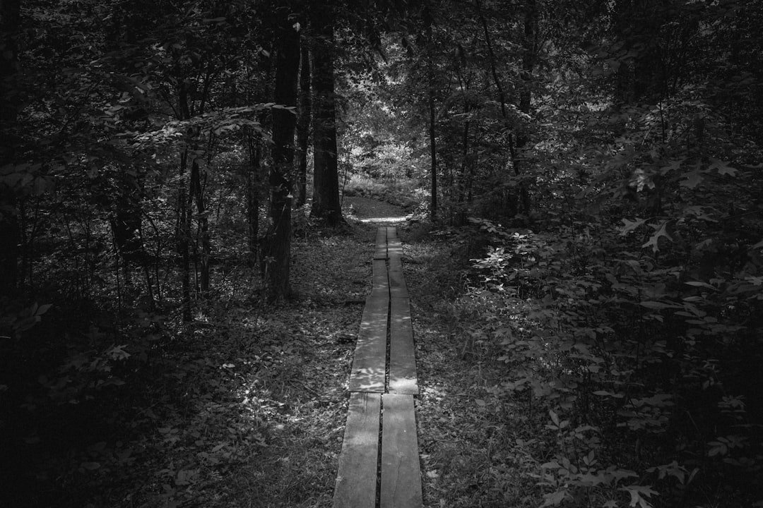 Why “Moving On” Is the Wrong Phrase for Grief