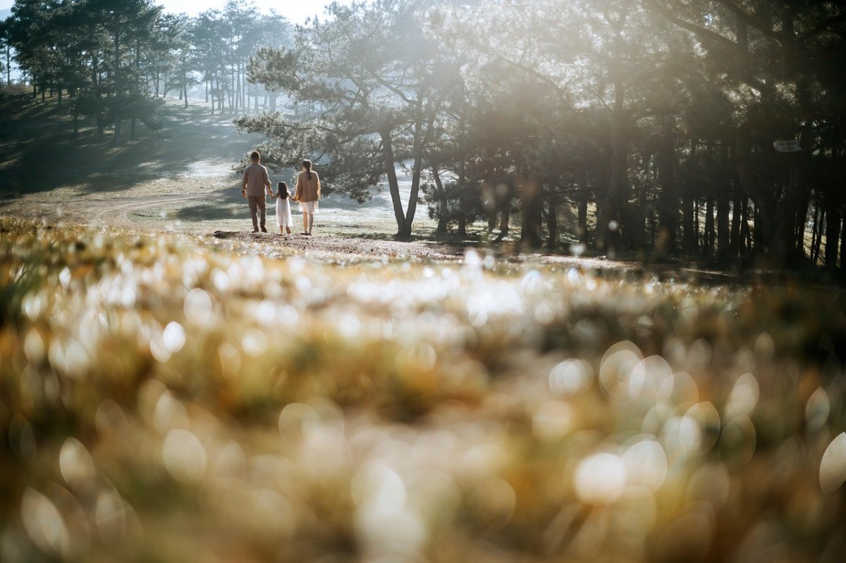 Family Tree Connections: Building Your Digital Family Legacy