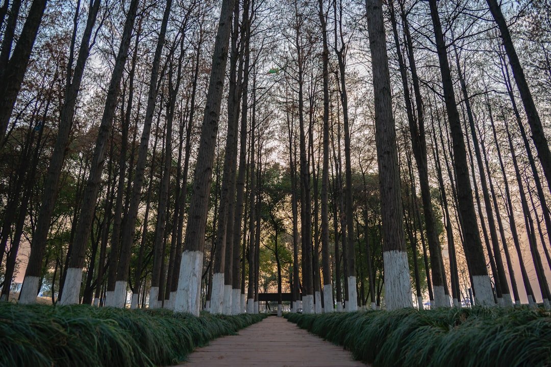 Storytelling for Memorials: Preserving Memories Online Through Digital Obituaries