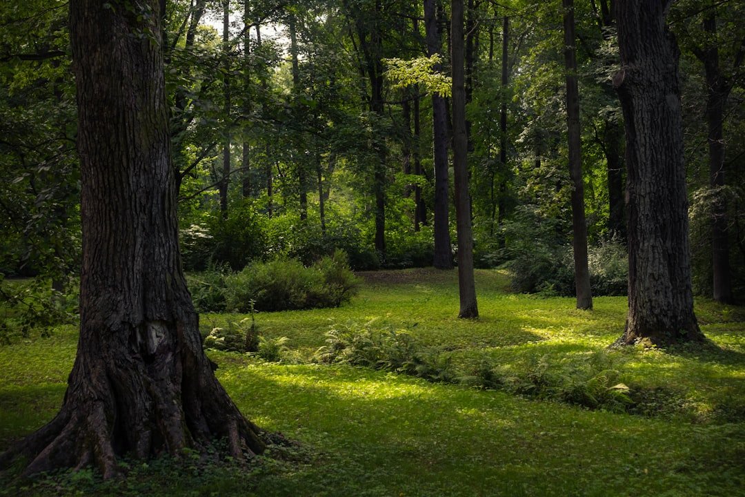 Digital Legacy Planning for Online Memorial Longevity