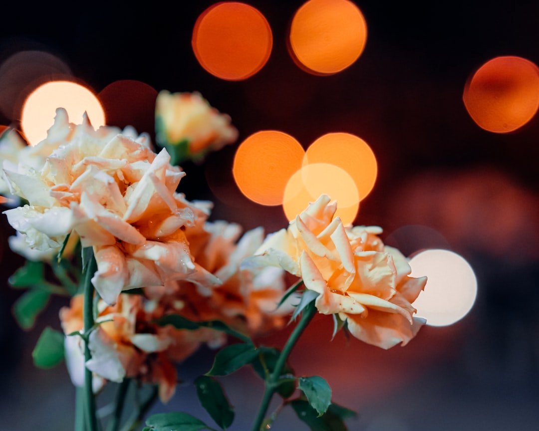 Custom Memorial Effects & Celestial Visual Enhancements