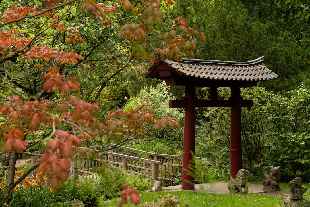 Digital Remembrance in Buddhist Traditions: Honoring Ancestors