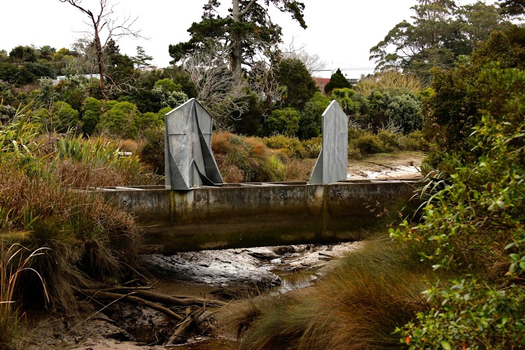 Digital Memorial Hobart: Honoring Loved Ones Online in Tasmania