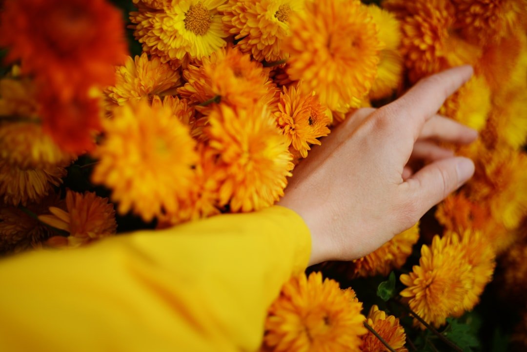 The Heart of Remembering Together: Honoring Cultural Remembrance