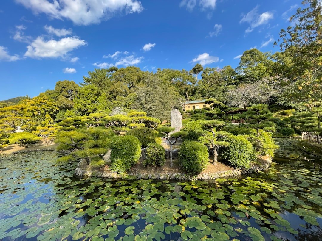 Digital Memorial Sydney: Honoring Loved Ones Online