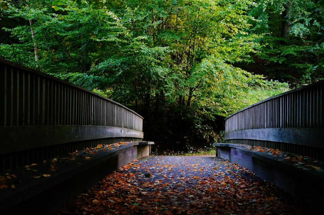 Digital Memorial Cardiff: Honoring Loved Ones Online