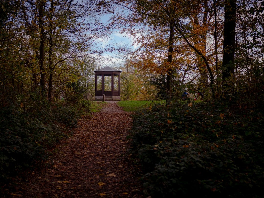 Digital Memorial Bristol: Honoring Loved Ones Online