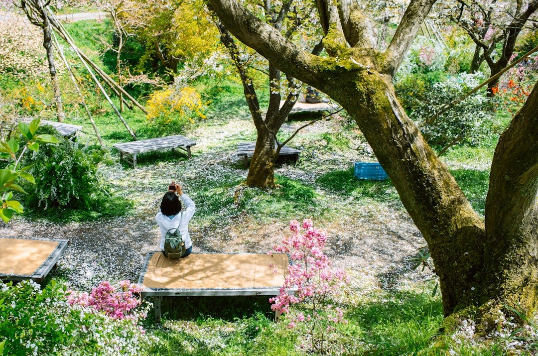 Family Rituals in Digital Spaces: Honoring Cultural Remembrance