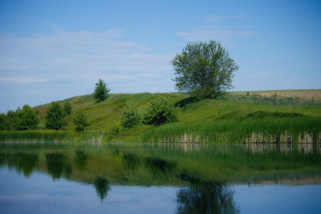 Digital Memorial Edmonton: Honoring Loved Ones Online