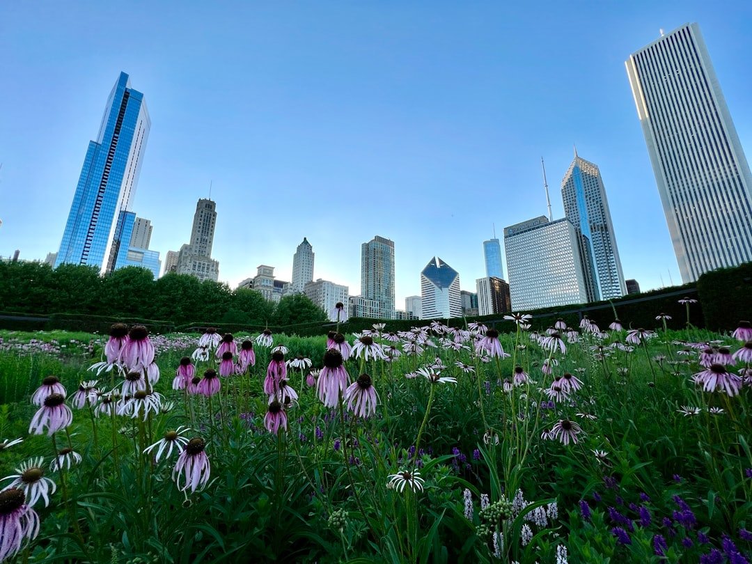 Digital Memorial Chicago: Honoring Loved Ones Online