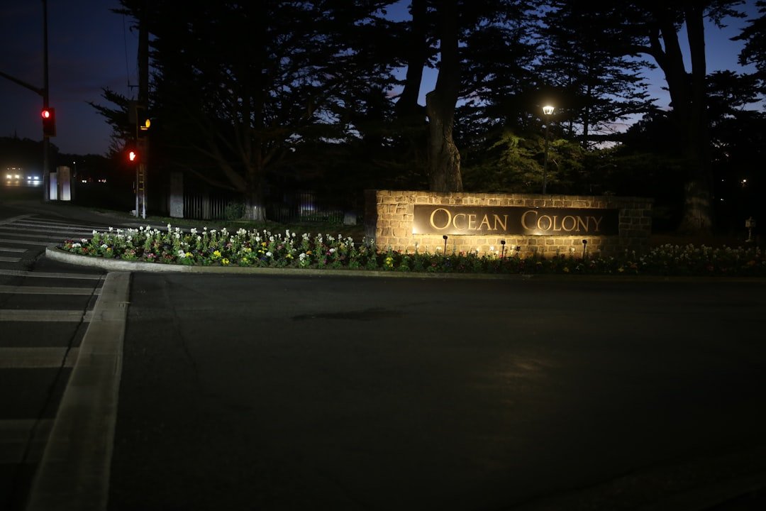 Digital Memorial Seattle: Honoring Loved Ones Online