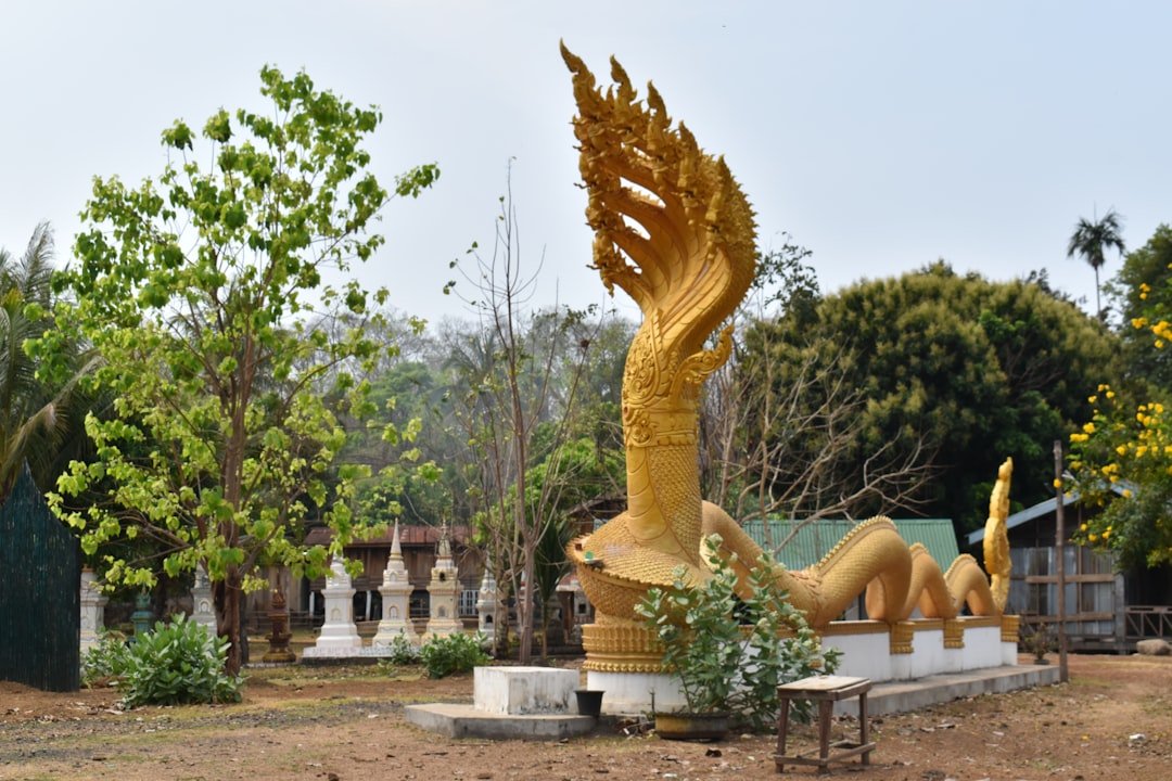 Digital Memorial Phoenix: Honor Loved Ones Online in the Valley