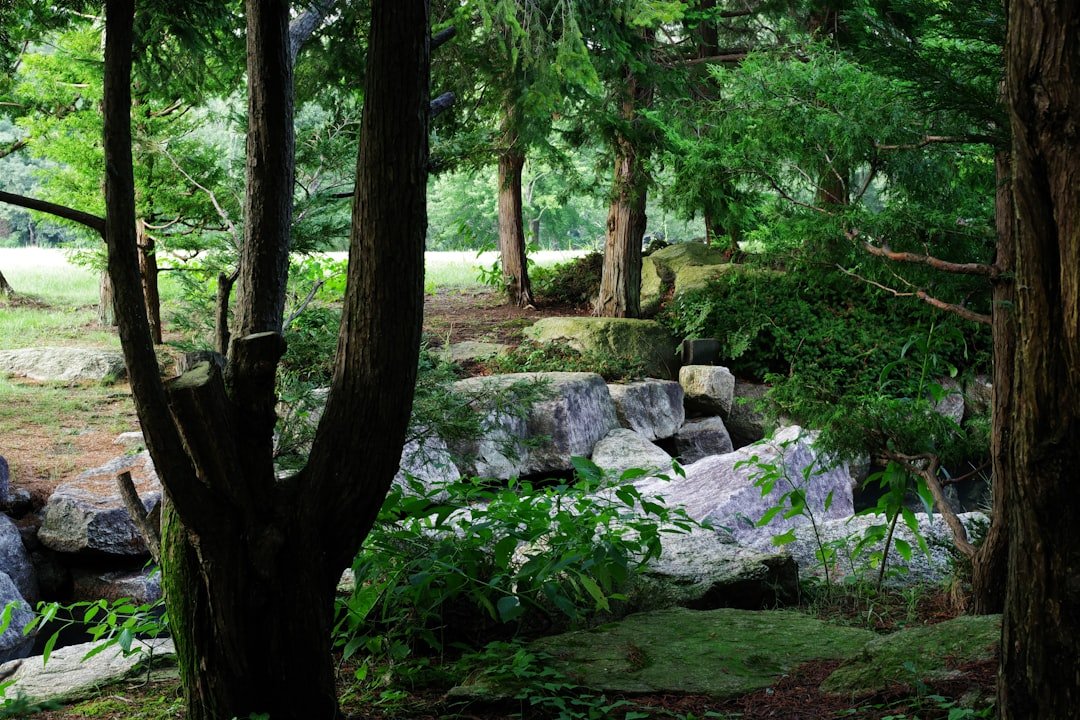 Digital Memorial San Antonio: Honoring Loved Ones Online