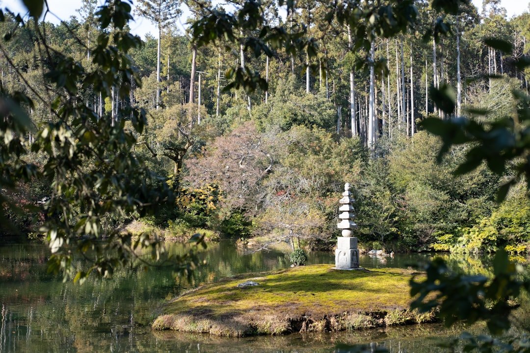 How to Honor a Partner's Memory: Creating a Digital Memorial for Partner