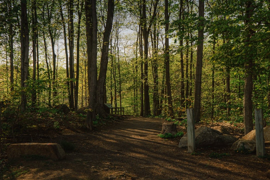 Grieving a Partner: Daily Life & Digital Memorial for Partner