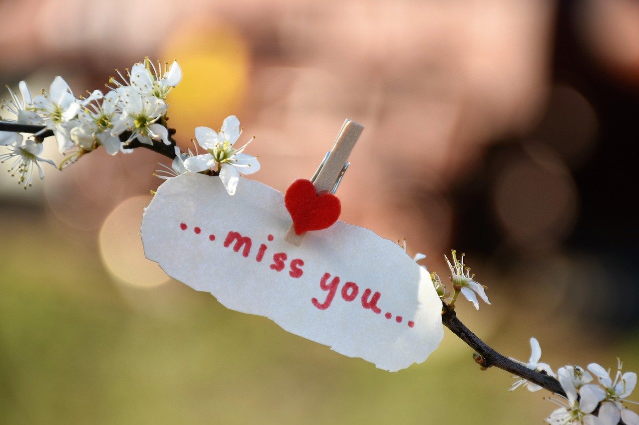 Finding Solace After Loss: A Digital Memorial for Partner