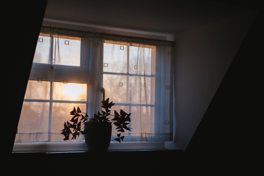 White wooden window, complex grief, healing.