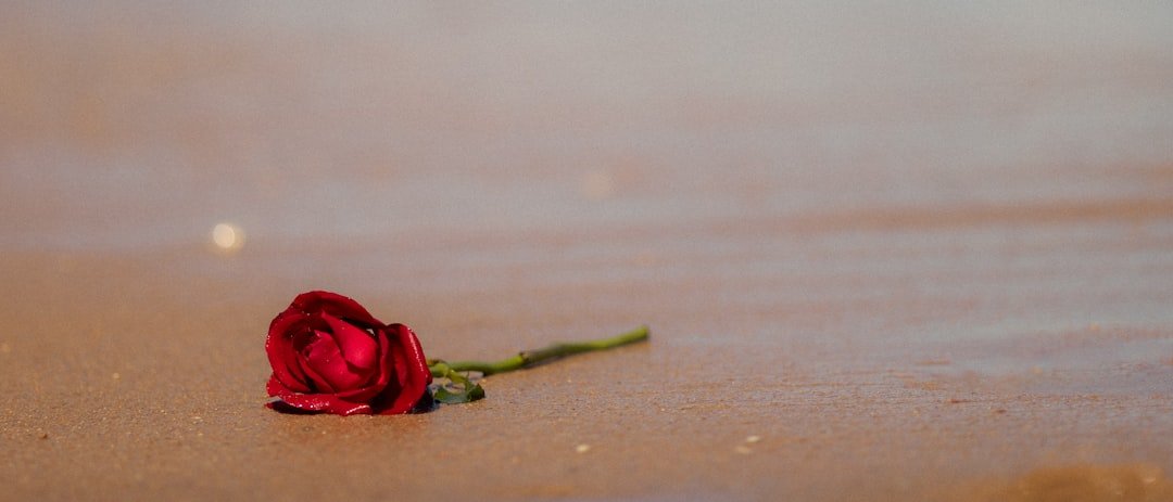 Coping with Mother's Death: Finding Healing After Loss