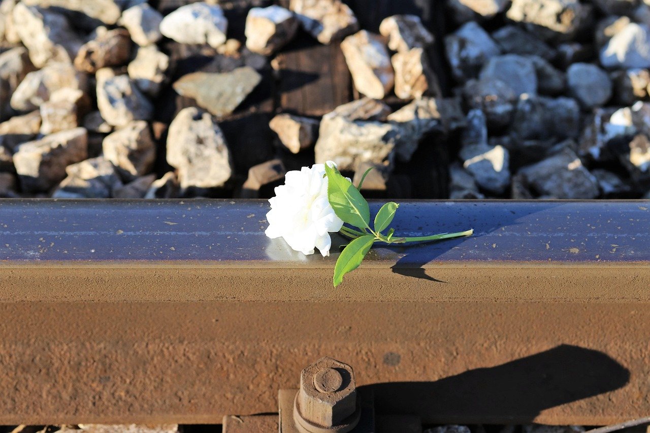 Grief, loss, memorial: Tiny rose for children gone too soon.