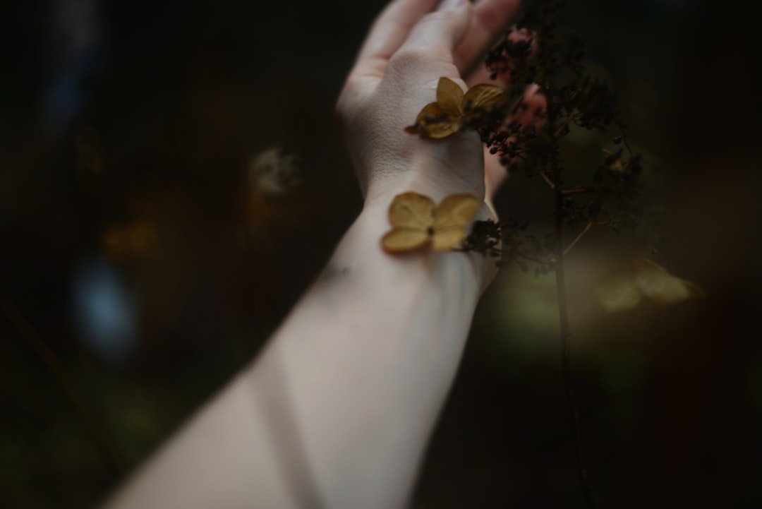 Continuing Bonds Theory: Maintaining Connection After Loss