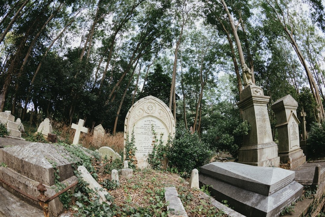 Cemetery headstones, graveside letter writing.
